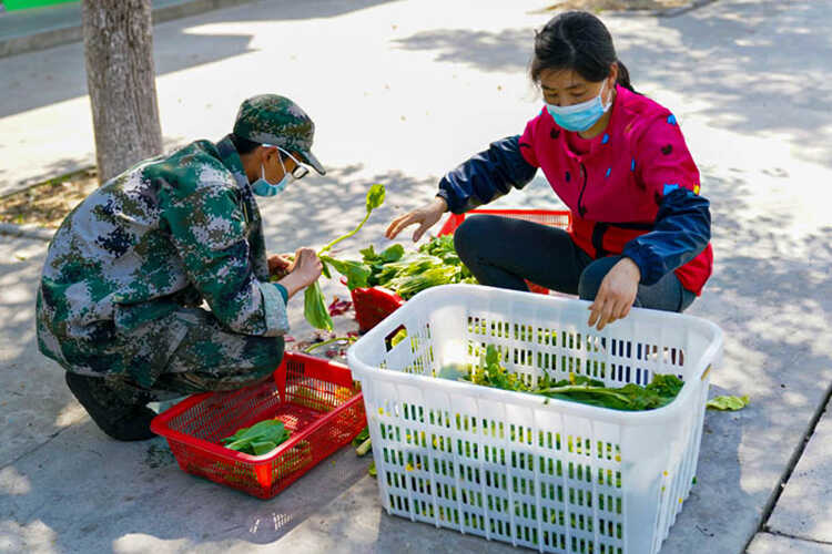 教學(xué)方案(圖20)