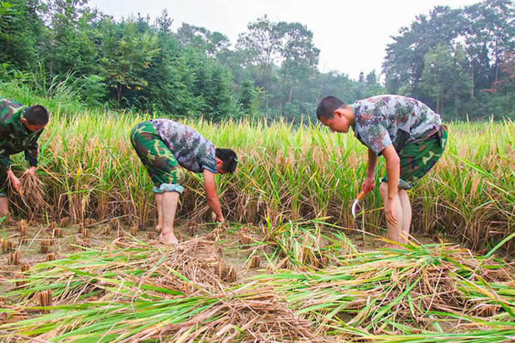 教學(xué)方案(圖26)