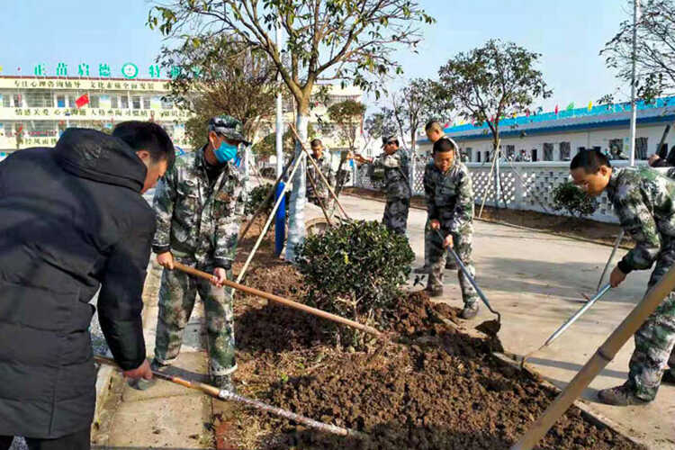 教學(xué)方案(圖24)