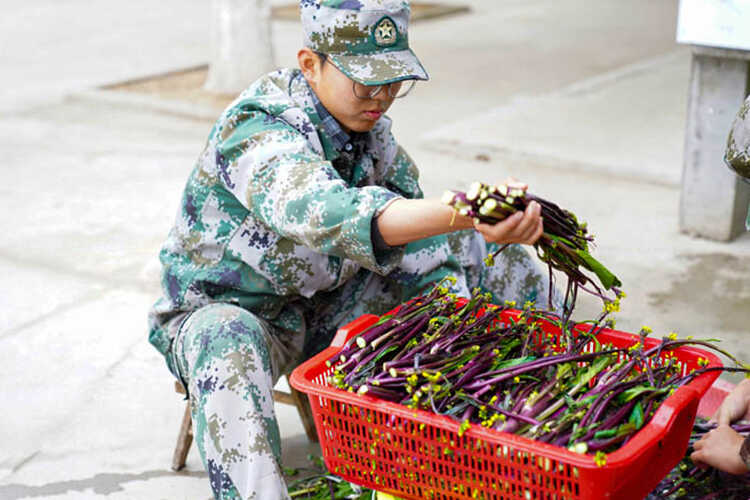 教學(xué)方案(圖19)