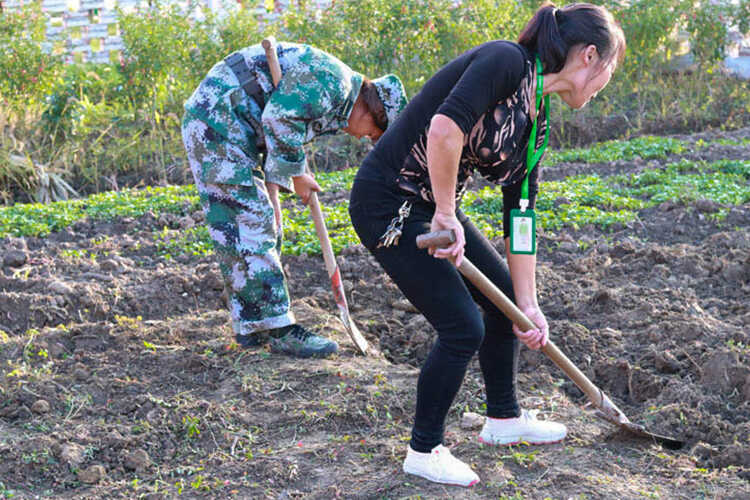 教學(xué)方案(圖25)