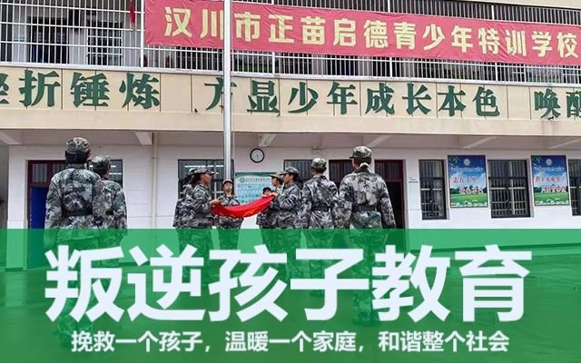 問題青少年特訓學校(青少年特訓學校)(圖1)