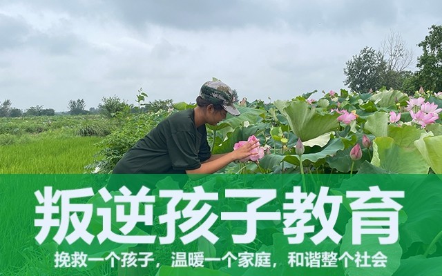 叛逆小孩封閉學校(叛逆孩子的家庭教育)(圖1)