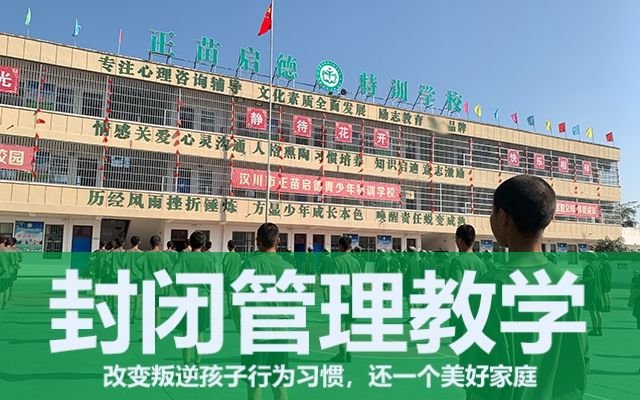 青春期叛逆的孩子教育學校(叛逆少年的教育)(圖1)