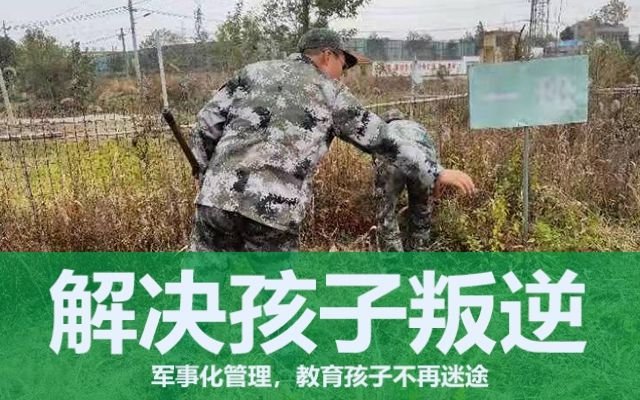 叛逆期孩子沉迷游戲、早戀怎么辦(孩子沉迷游戲，早戀如何教育)(圖1)