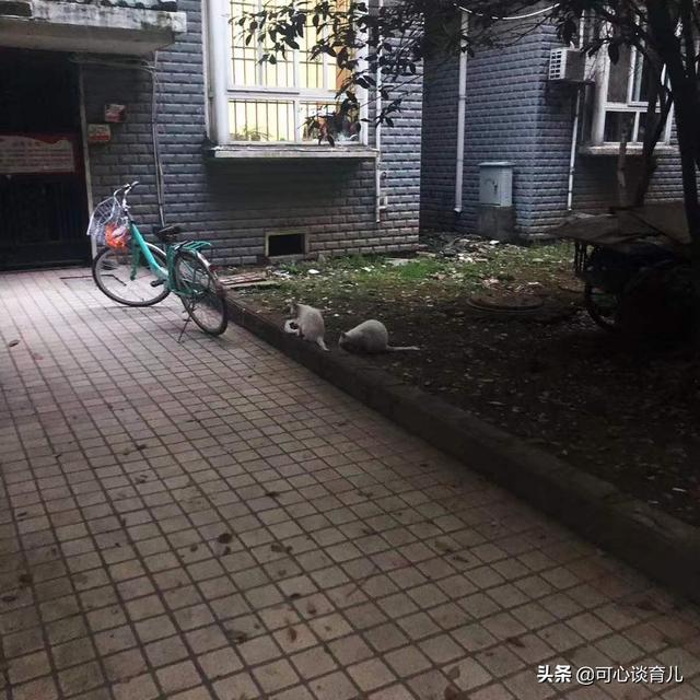 中學生逆反心理的特點(中學生逆反心理的特點教案)(圖3)